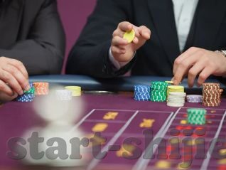幸运六狮-森林舞会-幸运六狮与森林舞会，一场梦幻般的冒险之旅
